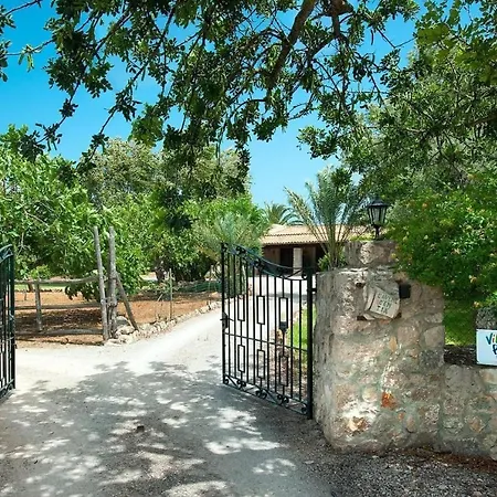 Tia Pollenca
